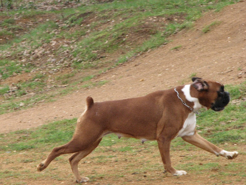 Verane de la ville d'hiver